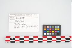 Etikett zu Bronzesitula (NHMW-PRAE-025525)